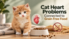 Cat Heart Problems Connected to Grain Free Food