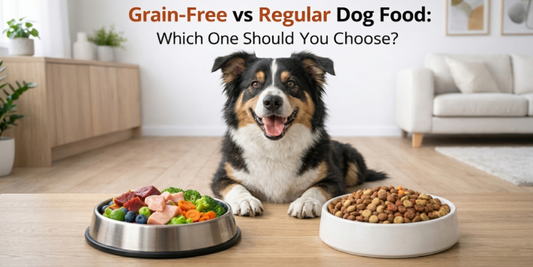 Grain-Free vs Regular Dog Food: Which One Should You Choose?
