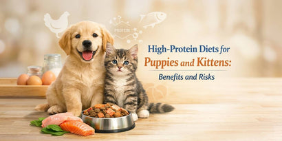 High-Protein Diets for Puppies and Kittens: Benefits and Risks