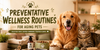 Preventative Wellness Routines for Aging Pets