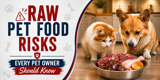 Raw Pet Food Risks Every Pet Owner Should Know
