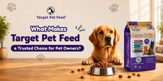 What Makes Target Pet Feeds a Trusted Choice for Pet Owners?